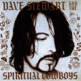 Dave Stewart : Dave Stewart and The Spiritual Cowboys